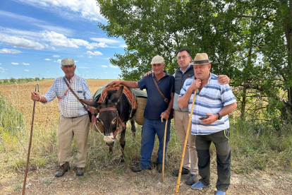 Una expedición de siete personas, más los perros y unos burros acompañan al rebaño en su andadura hasta los pastos de altura de León