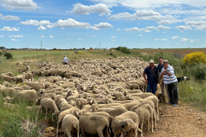 Una expedición de siete personas, más los perros y unos burros acompañan al rebaño en su andadura hasta los pastos de altura de León