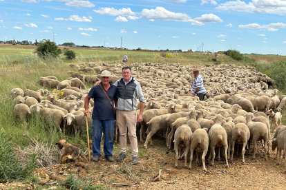 Una expedición de siete personas, más los perros y unos burros acompañan al rebaño en su andadura hasta los pastos de altura de León