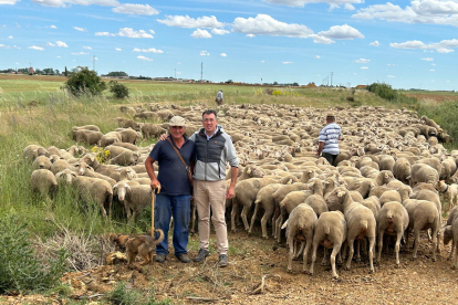 Una expedición de siete personas, más los perros y unos burros acompañan al rebaño en su andadura hasta los pastos de altura de León