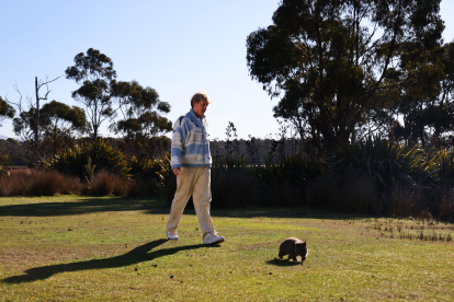 Un paseante de wombats durante su  jornada laboral en Australia. La isla de Tasmania, en el sureste de Australia, ofrece "trabajos raros" como sacar a pasear a los wombats. EFE/ Tourism Tasmania SOLO USO EDITORIAL/SOLO DISPONIBLE PARA ILUSTRAR LA NOTICIA QUE ACOMPAÑA (CRÉDITO OBLIGATORIO)