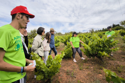 Asprona ha apadrinado media hectárea de viñedo en el paraje La Grisuela, de la mano de la bodega 13 Viñas.