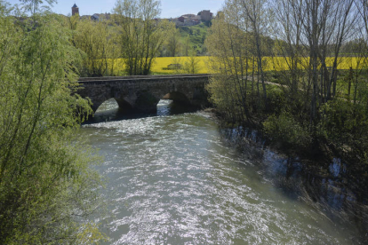 El río a su paso por Valderas.