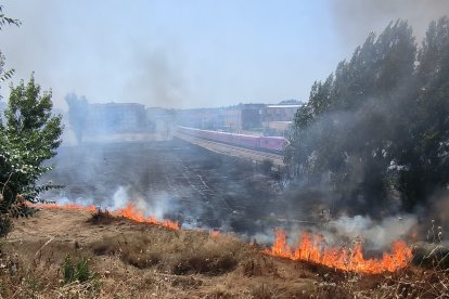 Las llamas se han extendido por las inmediaciones del CRE de San Andrés-