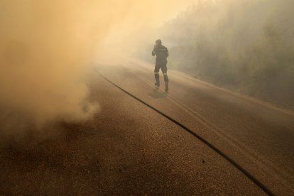 El fuego se declaró el domingo en la localidad de Varnava, a unos 40 kilómetros al norte de Atenas.