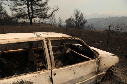 El fuego se declaró el domingo en la localidad de Varnava, a unos 40 kilómetros al norte de Atenas.