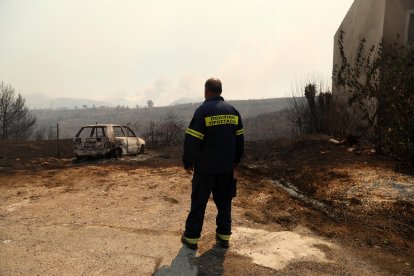 El fuego se declaró el domingo en la localidad de Varnava, a unos 40 kilómetros al norte de Atenas.