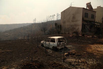 El fuego se declaró el domingo en la localidad de Varnava, a unos 40 kilómetros al norte de Atenas.