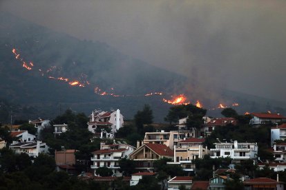 El fuego se declaró el domingo en la localidad de Varnava, a unos 40 kilómetros al norte de Atenas.