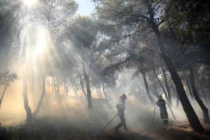 El fuego se declaró el domingo en la localidad de Varnava, a unos 40 kilómetros al norte de Atenas.