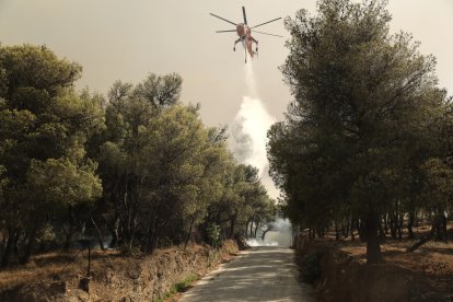 El fuego se declaró el domingo en la localidad de Varnava, a unos 40 kilómetros al norte de Atenas.