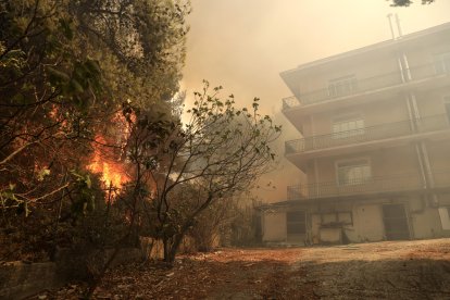 El fuego se declaró el domingo en la localidad de Varnava, a unos 40 kilómetros al norte de Atenas.