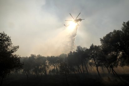 El fuego se declaró el domingo en la localidad de Varnava, a unos 40 kilómetros al norte de Atenas.