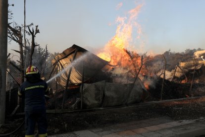 El fuego se declaró el domingo en la localidad de Varnava, a unos 40 kilómetros al norte de Atenas.