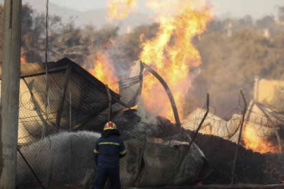 El fuego se declaró el domingo en la localidad de Varnava, a unos 40 kilómetros al norte de Atenas.