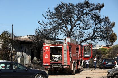 El fuego se declaró el domingo en la localidad de Varnava, a unos 40 kilómetros al norte de Atenas.