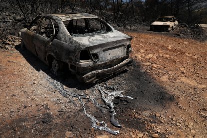 El fuego se declaró el domingo en la localidad de Varnava, a unos 40 kilómetros al norte de Atenas.