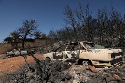 El fuego se declaró el domingo en la localidad de Varnava, a unos 40 kilómetros al norte de Atenas.