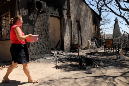 El fuego se declaró el domingo en la localidad de Varnava, a unos 40 kilómetros al norte de Atenas.