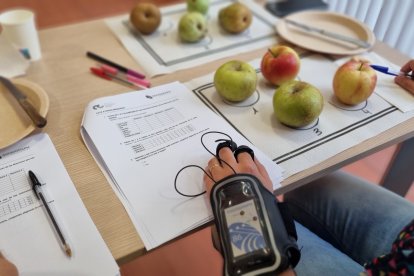 La respuesta del cuerpo se mide mediante el uso de tecnología y a través de entrevistas personalizadas y cuestionarios