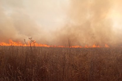 Imagen del incendio.