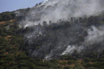 Imagen del incendio forestal.