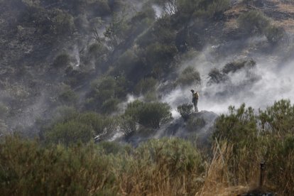 Imagen del incendio forestal.