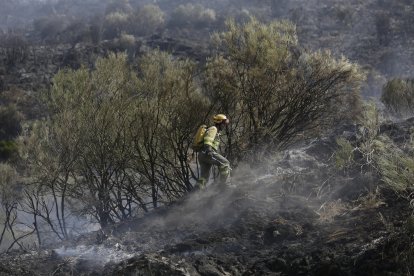 Imagen del incendio forestal.