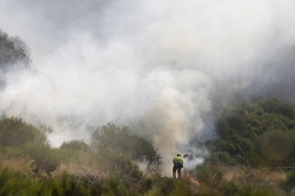 Imagen del incendio forestal.