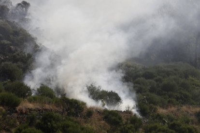 Imagen del incendio forestal.