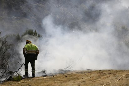 Imagen del incendio forestal.