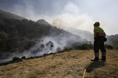 Imagen del incendio forestal.