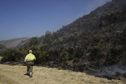 Imagen del incendio forestal.