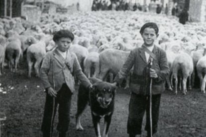 Los niños pastoreando en 1936