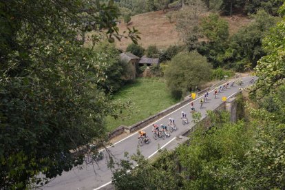 LUGO, 30/08/2024.- El pelotón durante la decimotercera etapa de la Vuelta ciclista a España que se disputa este viernes sobre 176 kilómetros entre Lugo y el Puerto de Ancares. EFE/Javier Lizón