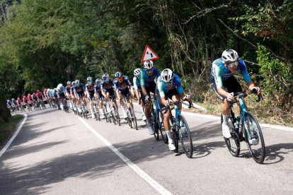 El pelotón durante la decimotercera etapa de la Vuelta ciclista a España que se disputa este viernes sobre 176 kilómetros entre Lugo y el Puerto de Ancares.