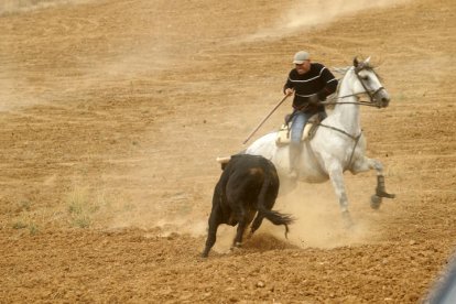 El sur de la provincia vuelve a demostrar su gran afición taurina.