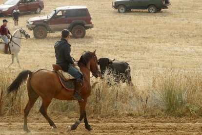 El sur de la provincia vuelve a demostrar su gran afición taurina.