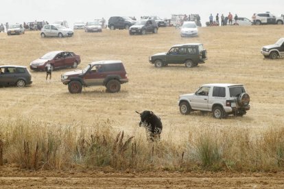 El sur de la provincia vuelve a demostrar su gran afición taurina.