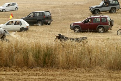 El sur de la provincia vuelve a demostrar su gran afición taurina.