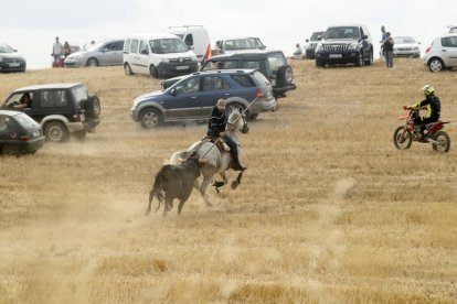 El sur de la provincia vuelve a demostrar su gran afición taurina.