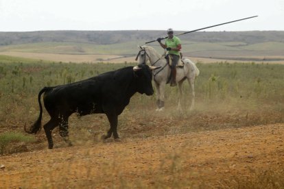 El sur de la provincia vuelve a demostrar su gran afición taurina.