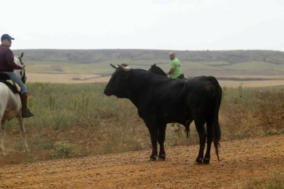 El sur de la provincia vuelve a demostrar su gran afición taurina.