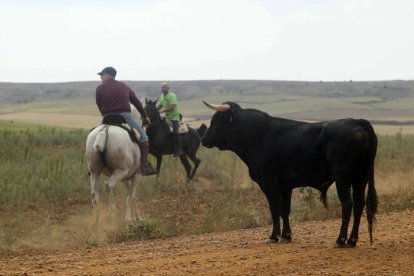 El sur de la provincia vuelve a demostrar su gran afición taurina.