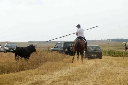 El sur de la provincia vuelve a demostrar su gran afición taurina.