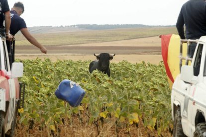 El sur de la provincia vuelve a demostrar su gran afición taurina.