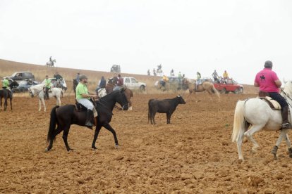 El sur de la provincia vuelve a demostrar su gran afición taurina.