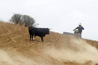 El sur de la provincia vuelve a demostrar su gran afición taurina.