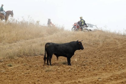 El sur de la provincia vuelve a demostrar su gran afición taurina.