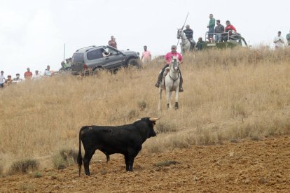 El sur de la provincia vuelve a demostrar su gran afición taurina.